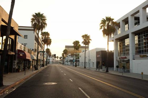 Пустая улица с пальмами в Лос-Анджелесе 