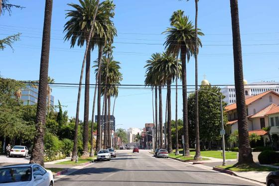 Солнечная улица с пальмами в Лос-Анджелесе 