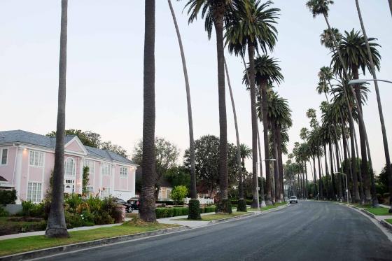 Улица с высокими пальмами в Лос-Анджелесе