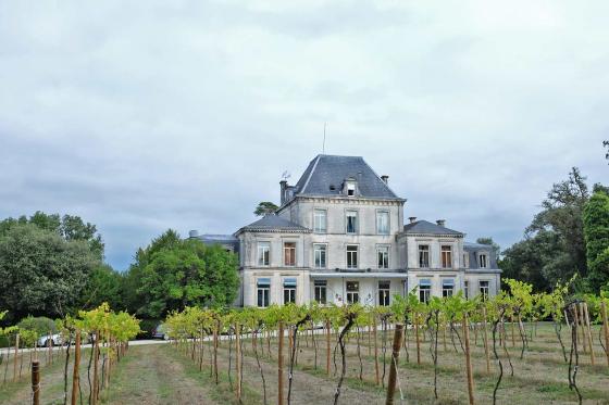 Виноградники и отель Domaine du Breuil в городе Коньяк во Франции